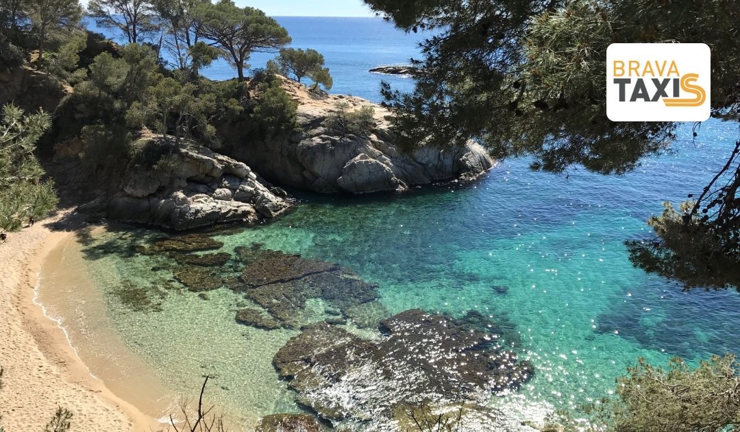La Playa de Roses, el Lugar Perfecto para tus Vacaciones